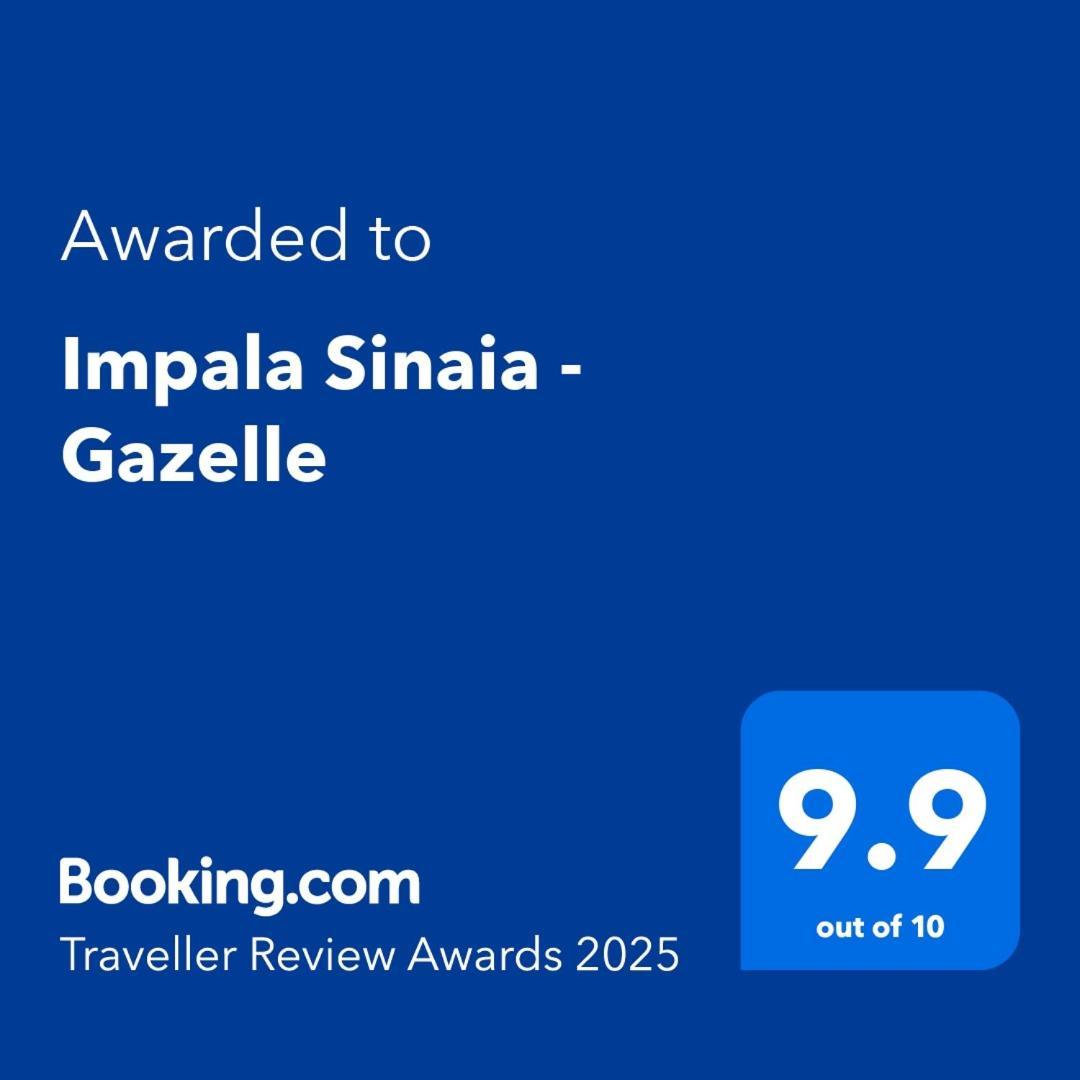 Impala Sinaia - Gazelle Leilighet Eksteriør bilde
